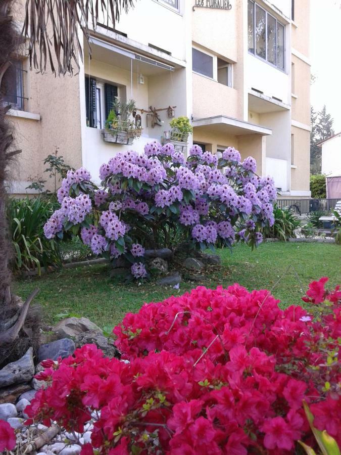 Les Floralies Apartment Pau Exterior photo